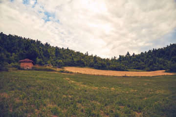 Fototapeta premium View of hilly landscape in the summertime.
