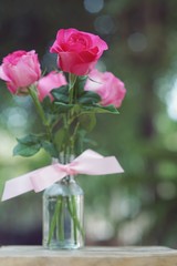 Elegant pink roses in vase, beautiful valentine's day gift concept