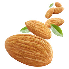 Obraz na płótnie Canvas Flying almonds with leaves, isolated on white background