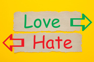  Love Hate Concept