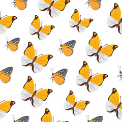 Fototapeta na wymiar Butterfly seamless pattern vector. Summer butterflies background.