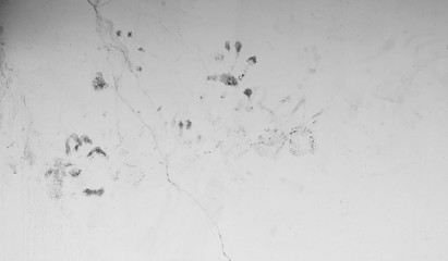 grunge cement wall texture