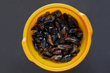 Top view raw sea mussels in yellow bowl