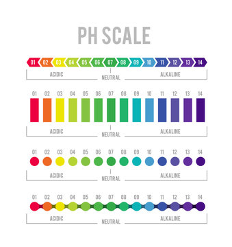 pH meter for measuring acid alkaline balance. infographics in the circle form with pH scale