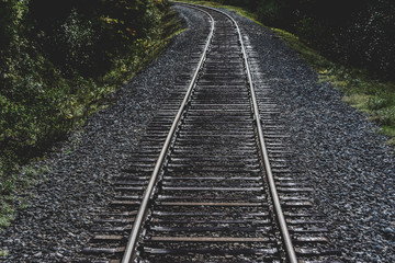 Fototapeta na wymiar railway in forest