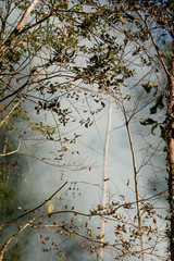 smoke prairie fire. Dry grass blazes among bushes destruction of forests