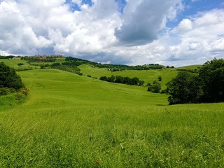 Obraz premium Graslandschaft