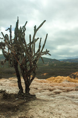 paisaje Falla geologica hundicion de YAY, desierto de arcilla y cactus