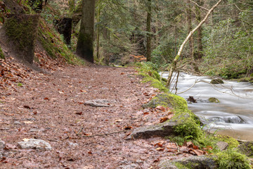Waldweg am Bach entlang