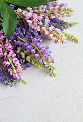 Pink and purple lupine flowers on marble background. Birthday, Mother's day, Valentine's Day, March...