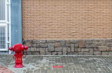 Red fire hydrant on pathway