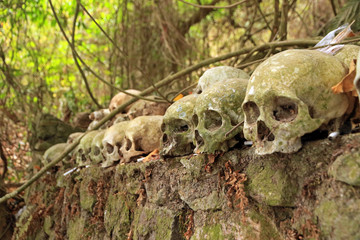 Cemetery in Trunyan village, Lake Batur, Bali, Indonesia