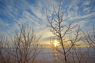 Winter rural landscape. Lake in winter.