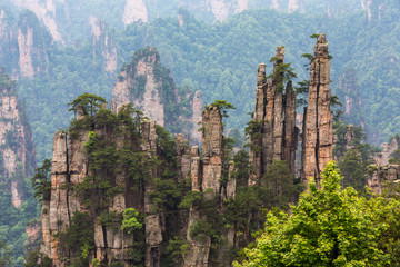 Obraz premium Mountain landscape of Zhangjiajie national park, China