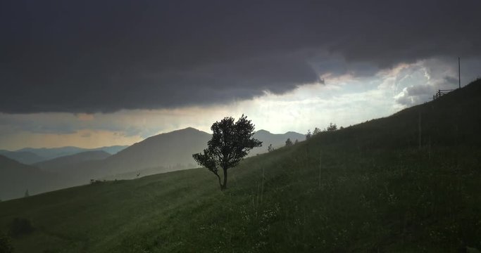 Beautiful heavy rain downpour in Carpathians mountains, dark stormy clouds over green meadow hill