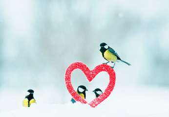 Obraz premium beautiful festive Valentine with many birds chickadees fly from the symbolic frame of love in the form of red heart
