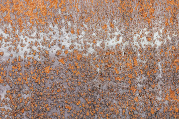 metal rustic background