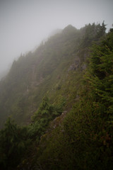 Obraz premium hillside