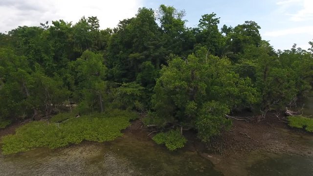 Mangroves near shallow reefs