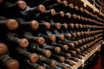 Wine cellar with bottles of wine on shelves