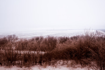 Obraz na płótnie Canvas Winter weather day, snow trees background 