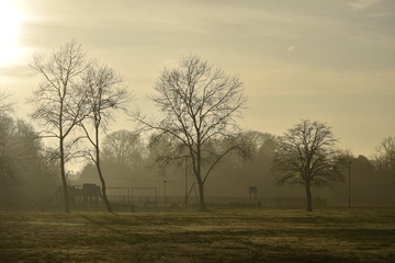 Misty playground