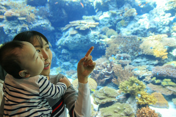 Asian young mother and her son enjoying aquarium.