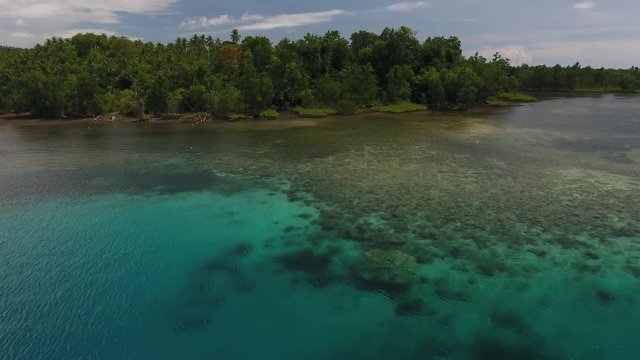Slow rise reef at base of mangroves