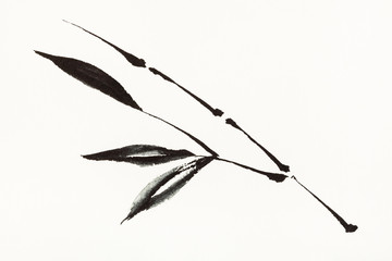 bamboo branch is hand drawn on creamy paper