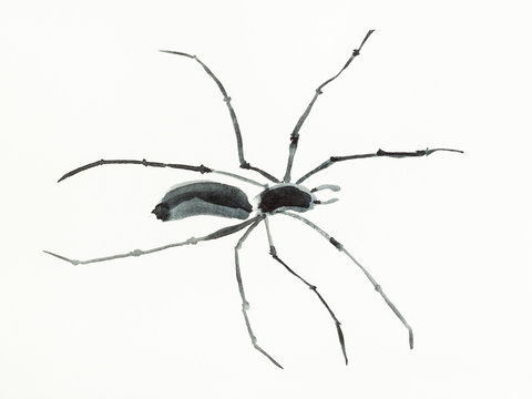 spider is hand drawn on creamy paper