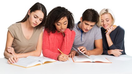 mutiracial students studying