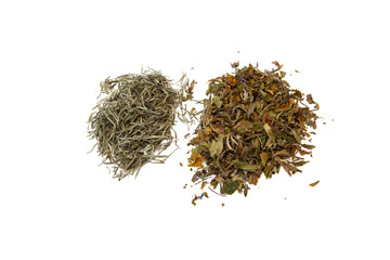 Leaves of two different sorts of white tea isolated on white background with clipping path. Beautiful background.