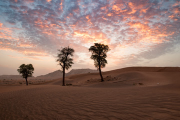 Beautiful Sunrise Desert Landscape with Clouds in Sharjah, United Arab Emirates.