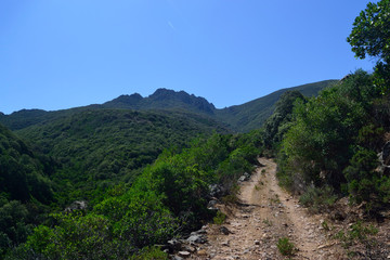 Vista del Monte Lattias da Siliqua