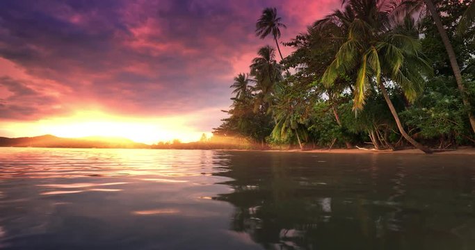 Sunset on paradise island. Tropical beach with palm trees on sea coast