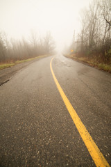 Obraz premium road in autumn