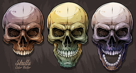 Detailed graphic realistic cool colorful human skulls. On gray grunge background. Vector icon set.