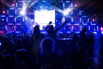 Musical concert Crowd