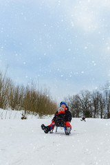 children on two sledges descend from the hills