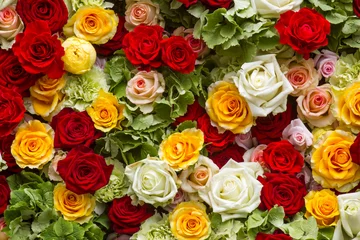 bunter rosenhintergrund © Miroslawa Drozdowski
