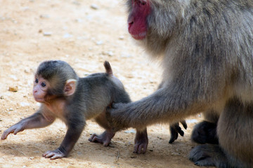 Maternidad