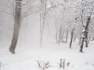 Snow covered street after a heavy snowfall