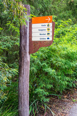 sinalização do caminho