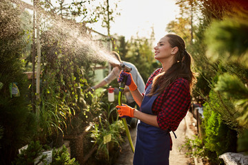 Girl gardener sprays water plants in the beautiful nursery-garden on a sunny day. Working in the garden