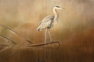 Textured photograph of a Blue Heron standing on a branch in a golden pond