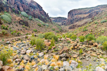 Barren volcanic landscape of Canary Island with rocky rocks and rare plants