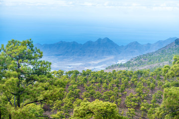 Fototapeta na wymiar Beautiful nature mountain landscape of Canary Island with green pine trees at foreground