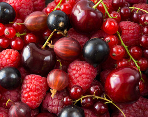Ripe raspberries, blackcurrants, cherries, red currants and gooseberries. Mix berries and fruits. Top view. Background berries and fruits. Various fresh summer fruits.