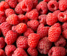 Background of raspberries. Fresh raspberries closeup. Top view. Background of red berries. Various fresh summer fruits. Red raspberries. Red food.