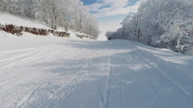 Skiing at snowed forest area action camera POV perspective. Skier using shallow turns to change direction at Vigla - Pisoderi, Greece ski resort area at a path with trees and branches covered in snow.